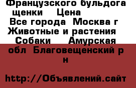 Французского бульдога щенки  › Цена ­ 35 000 - Все города, Москва г. Животные и растения » Собаки   . Амурская обл.,Благовещенский р-н